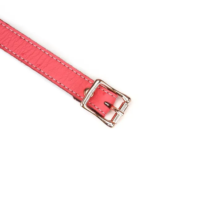 Liebe Seele - Angel's Kiss - Smalle Choker Met Hartvormige Ring - Luxe En exclusief ontwerp - Roze/Rosé Goud | Liebe Seele Male Sex Toys